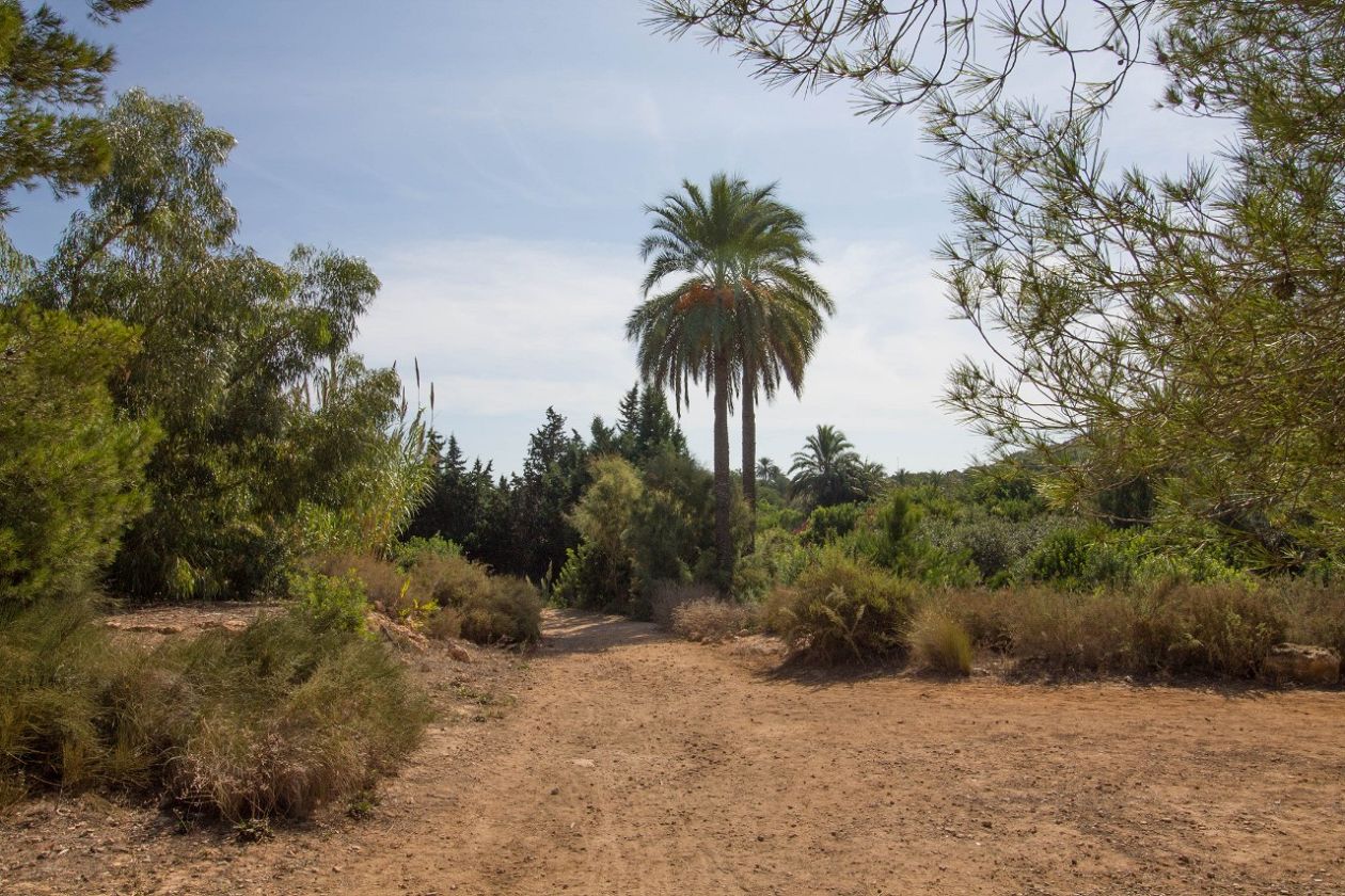 Clot de Galvany Municipal Natural Park