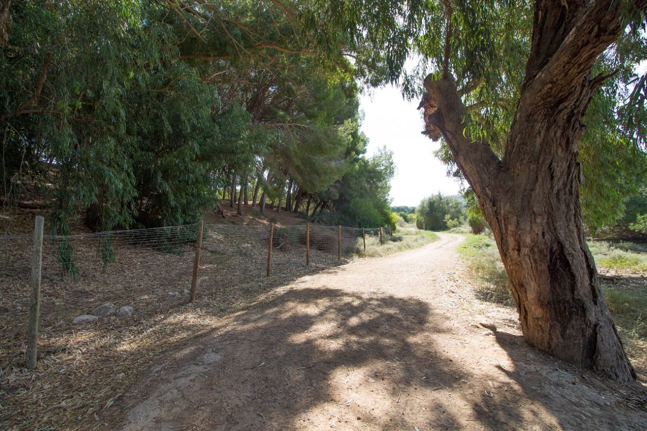 Clot de Galvany Municipal Natural Park