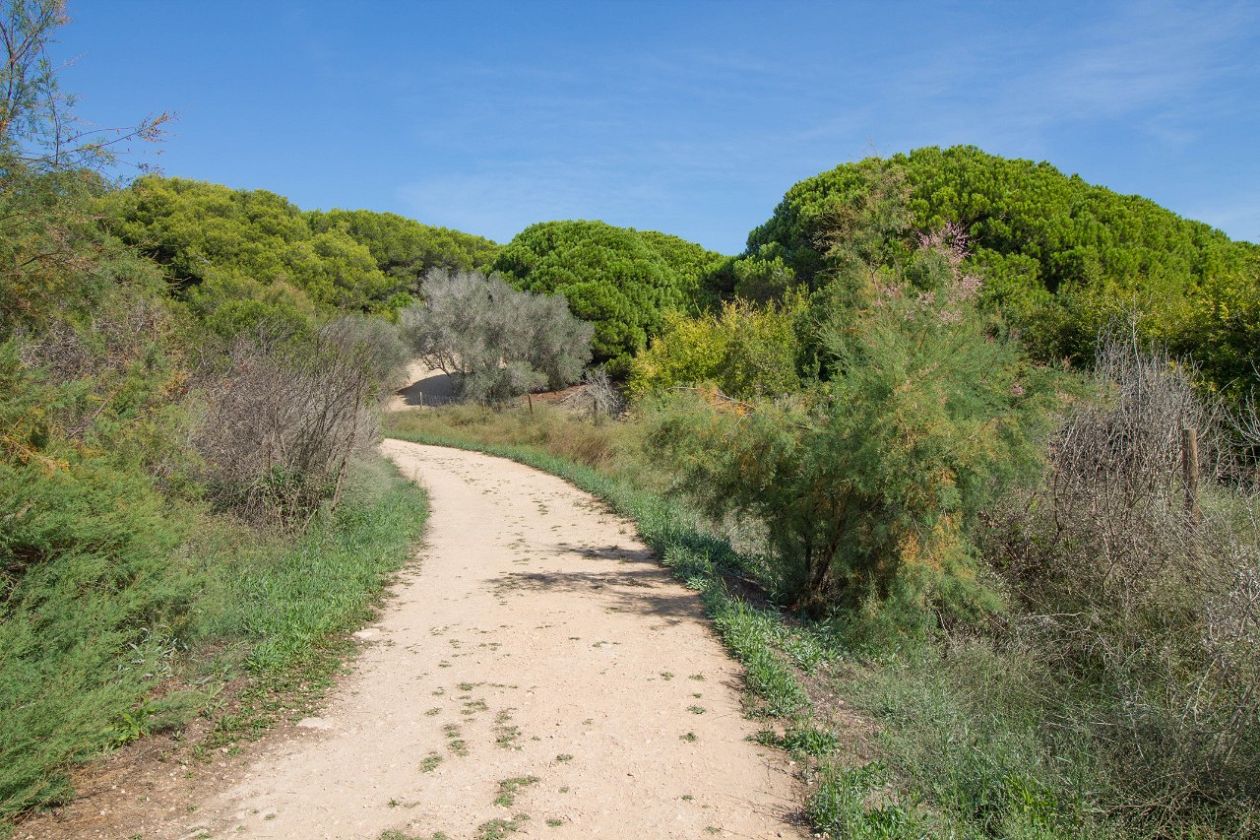 Clot de Galvany Municipal Natural Park