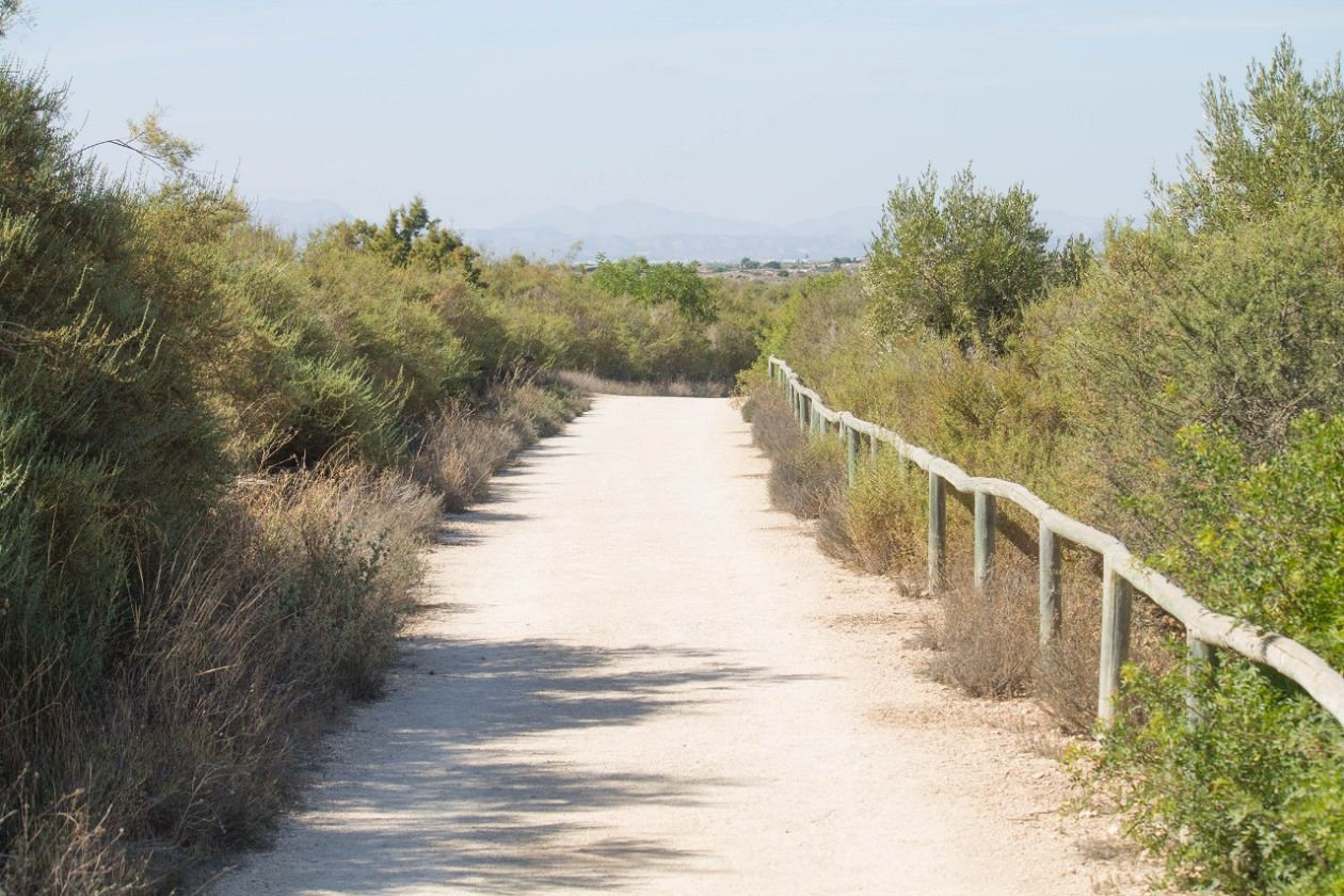 Clot de Galvany Municipal Natural Park