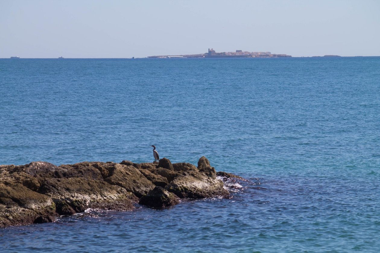 Puerto & Puerto deportivo de Santa Pola 