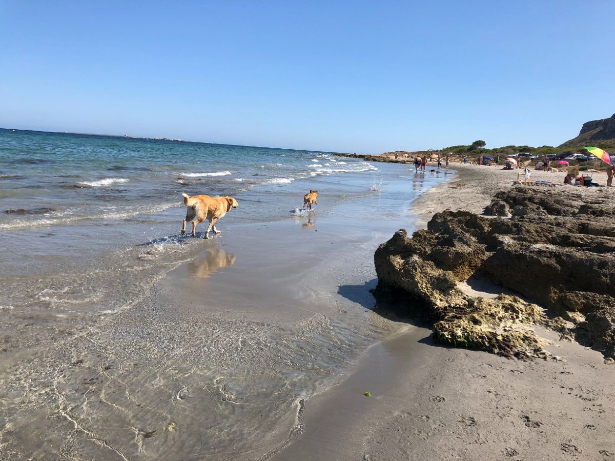 Caleta del Gossets - The Dogs Cove - Santa Pola East