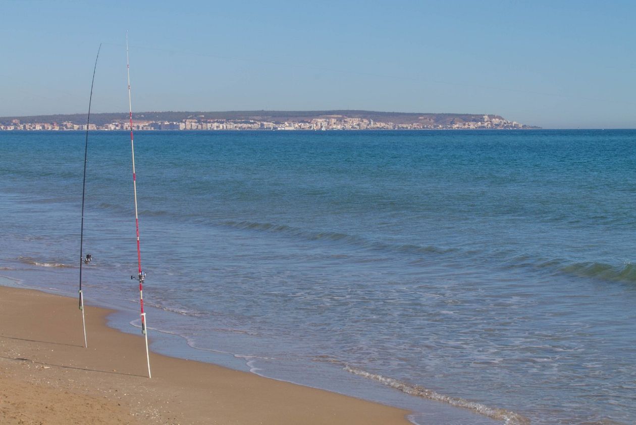 Playa El Pinet -  The Pine Beach - Elche