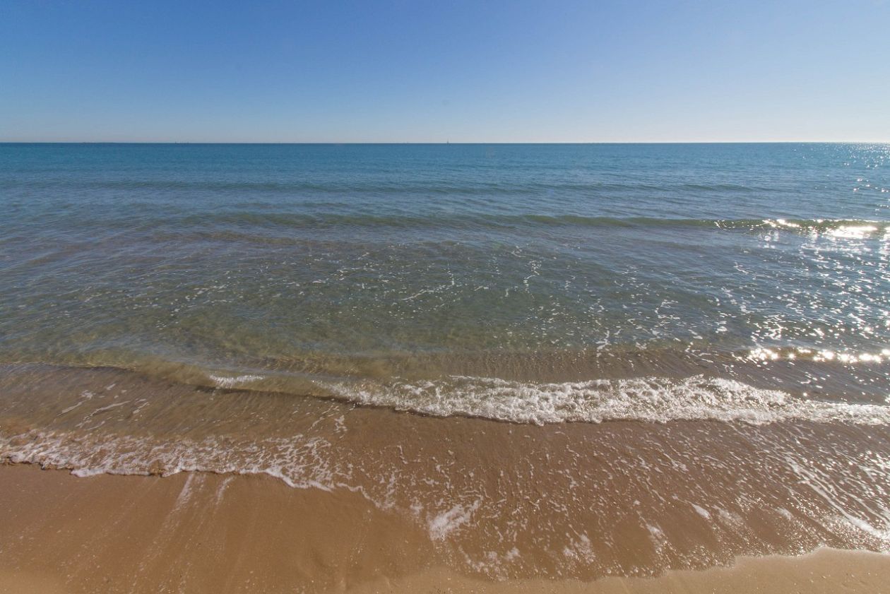 Playa El Pinet -  The Pine Beach - Elche