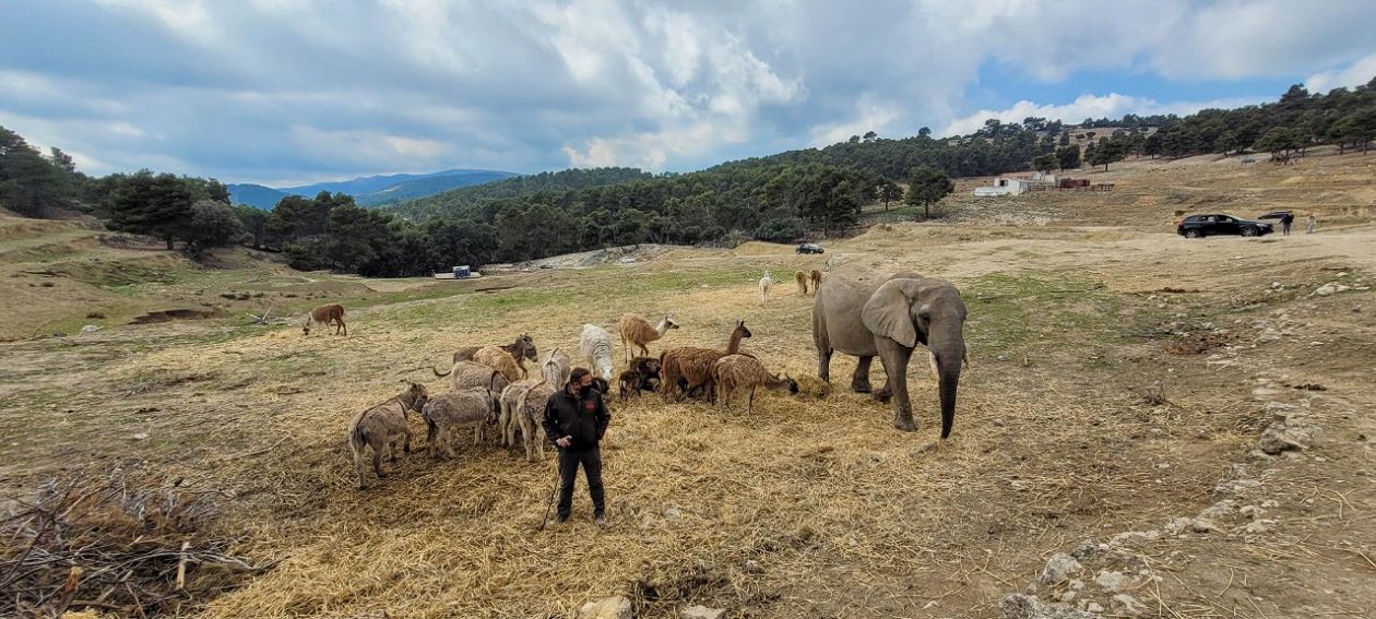 Safari Aitana - Penàguila