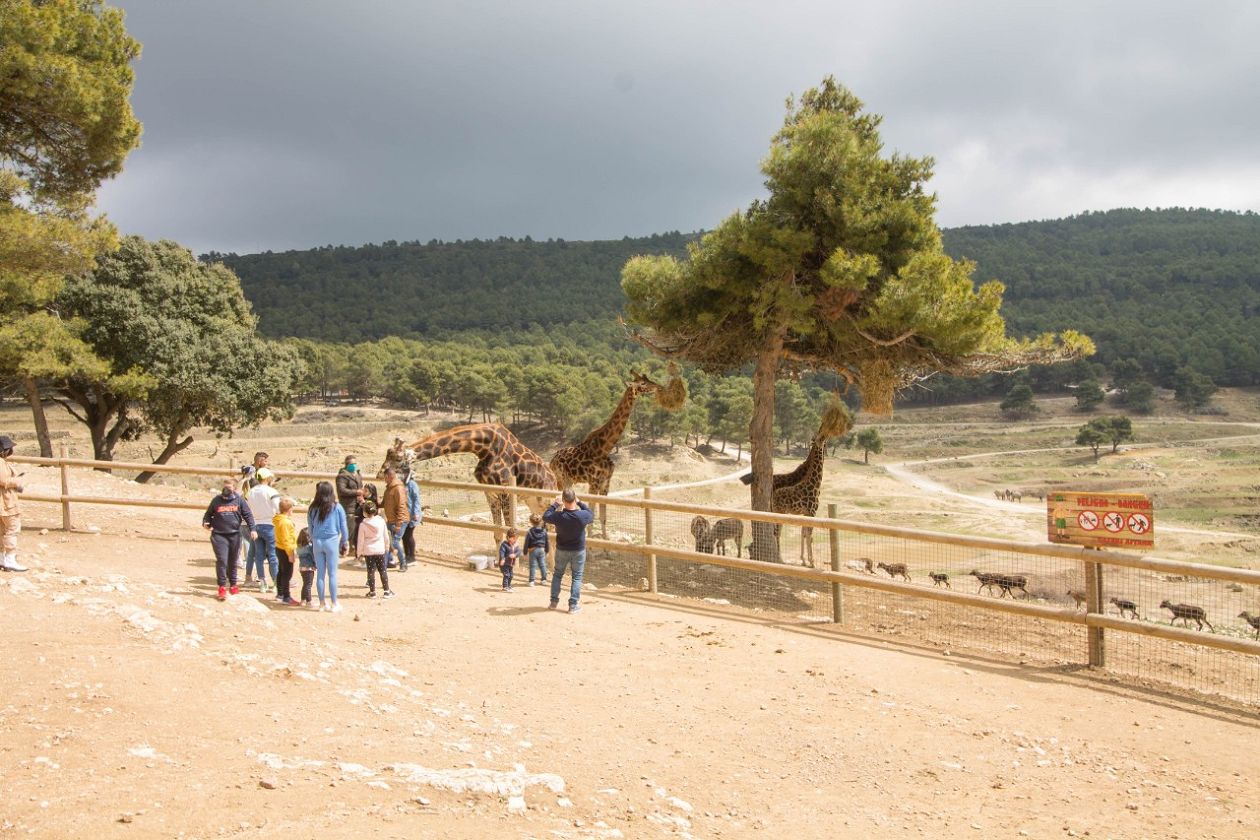 Safari Aitana - Penàguila