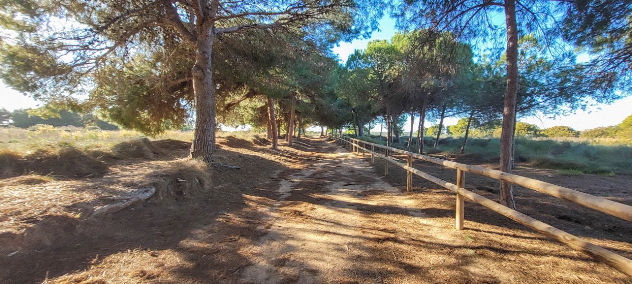 Parque Natural de La Mata-Torrevieja