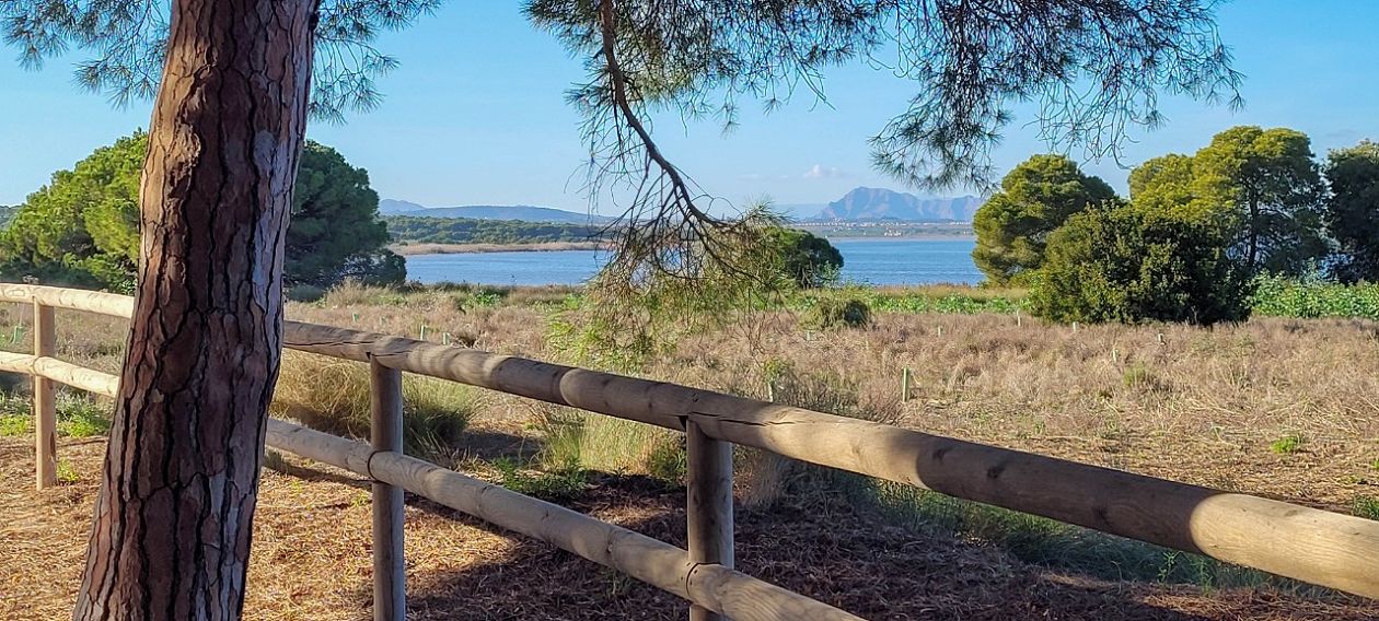 Parque Natural de La Mata-Torrevieja