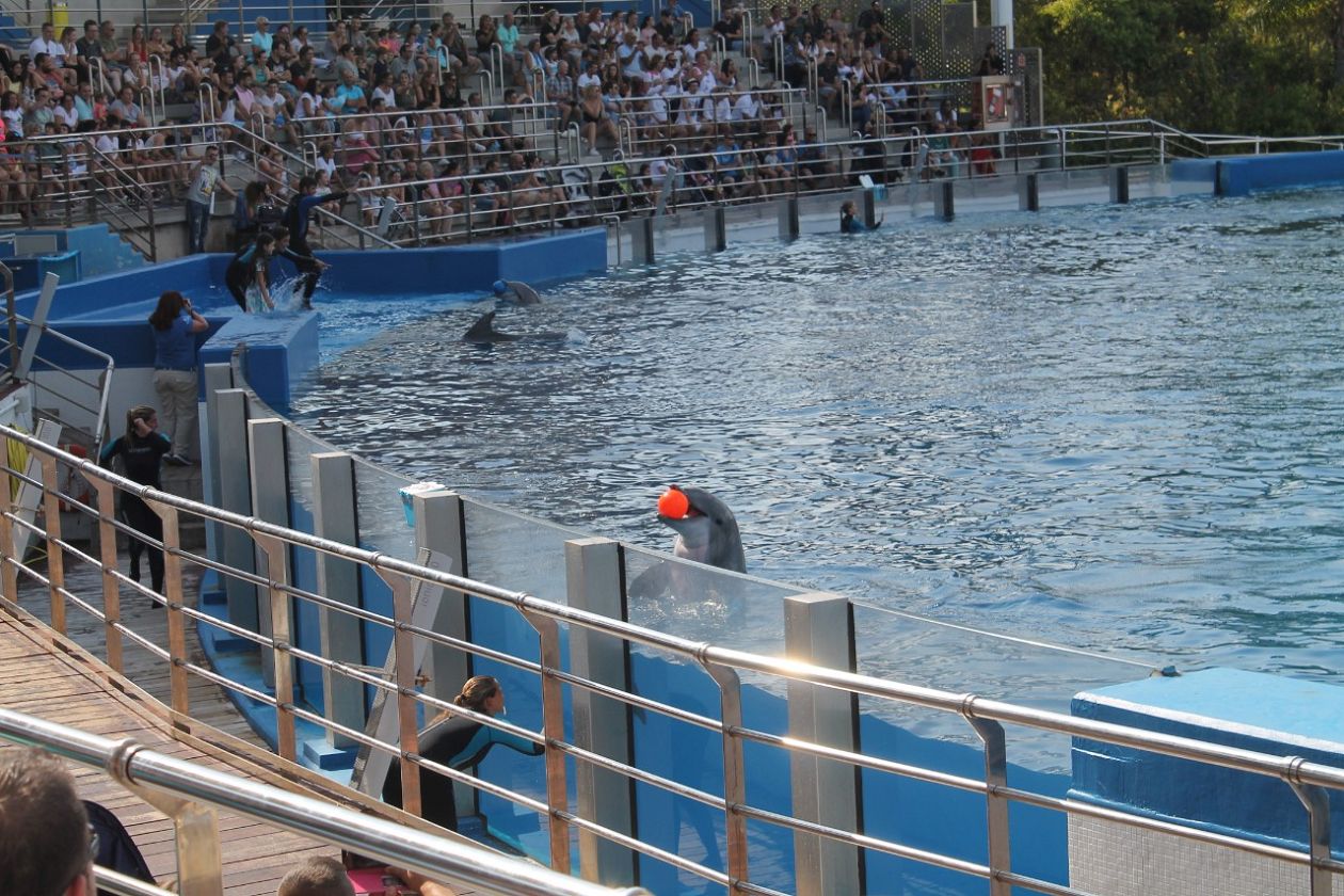 Oceanografic Aquarium - Valencia