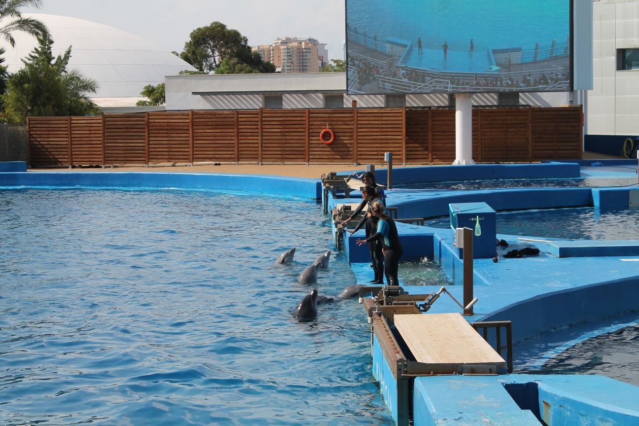 Oceanografic Aquarium - Valencia