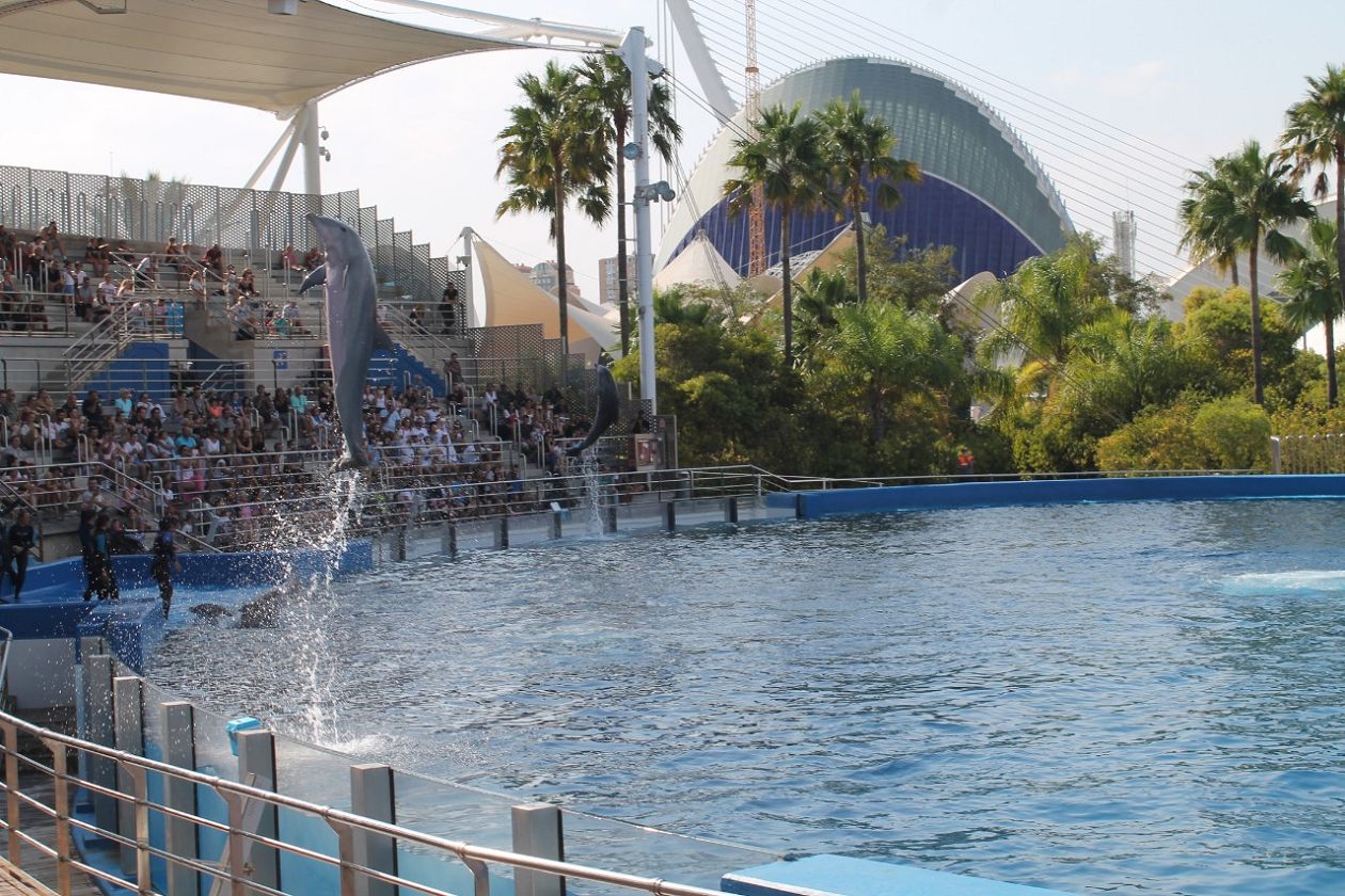 Oceanografic Aquarium - Valencia