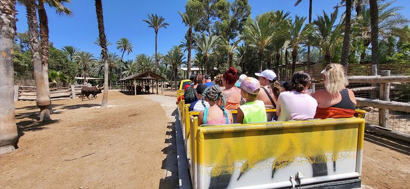 Rio Safari & Water Park 