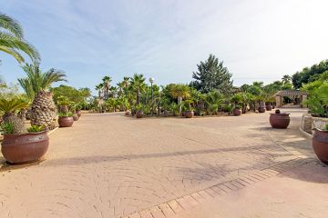 Villa  Cactuario - El Altet